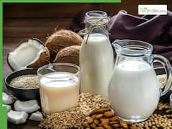 Milk On Empty Stomach Side Effects: 7 Things That Can Happen When You Start Your Day With Warm Milk