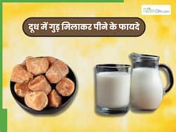 1 गिलास गुनगुने दूध के साथ गुड़ खाने से दूर होती हैं ये 5 बीमारियां, इस समय करें सेवन
