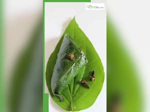 पान के पत्तों के साथ लौंग खाने के फायदे