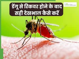 डेंगू से रिकवर होने के बाद सही देखभाल कैसे करें? जानें 5 महत्वपूर्ण टिप्स