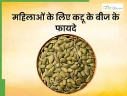 महिलाओं के लिए बहुत फायदेमंद हैं कद्दू के बीज, इन 5 समस्याओं को कर सकते हैं दूर