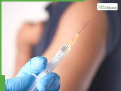 बर्ड फ्लू से बचने के लिए US में खास तैयारी,वैक्सीन का दोगुना स्टॉक किया जा रहा रेडी