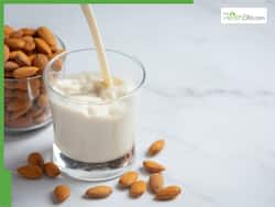Almond Milk For Women: 7 Little-Known Reasons Why A Glass A Day Is A Must For You