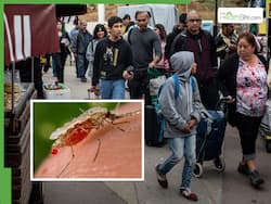 अमेरिका में फिर से बढ़ सकता है अमेरिकन मलेरिया का खतरा, जानें क्या कह रहे एक्सपर्ट्स