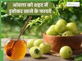 शहद में आंवला डुबोकर खाने से दूर होती हैं ये 5 बीमारियां, इस तरह करें सेवन