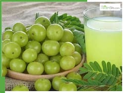 लंबे और घने बालों के लिए लगाएं आंवला पानी, घर पर ऐसे करें तैयार