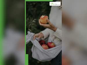 शरीर में हैं ये समस्या तो भूलकर भी न खाएं सेब