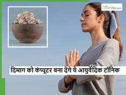 कंप्यूटर से भी तेज चलने लगेगा दिमाग, जब इस्तेमाल करेंगे ये सदियों पुराने टॉनिक