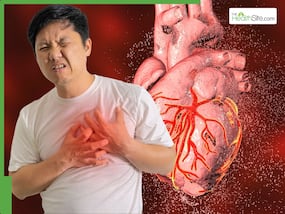 बैड कोलेस्ट्रॉल है हार्ट का दुश्मन, सुबह खाएं ये 5 अंकुरित अनाज, दिल की नसों से साफ हो जाएगी सारी गंदगी बैड कोलेस्ट्रॉल है हार्ट का दुश्मन, सुबह खाएं ये 5 अंकुरित अनाज, दिल की नसों से साफ हो जाएगी सारी गंदगी