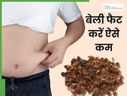 गुग्गुल का पानी पीकर पिघल जाएगी मोटी तोंद, मिलेंगे ये 5 फायदे भी