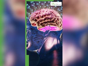 याददाश्त को तेज बनाते हैं ये योगासन