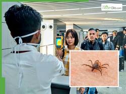Virus in China: चीन के व्यक्ति में मिला ऑर्थोनैरोवायरस, कीट के काटने से फैला संक्रमण