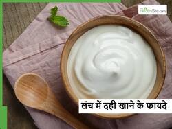 दोपहर के खाने में दही खाने से दूर होंगी पेट की ये 4 बीमारियां, साथ में जानें फायदे