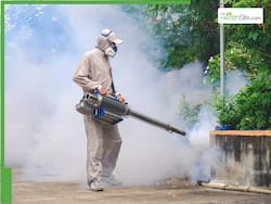 6 Effective Strategies For Dengue Prevention: Diet, Lifestyle, Other Measures