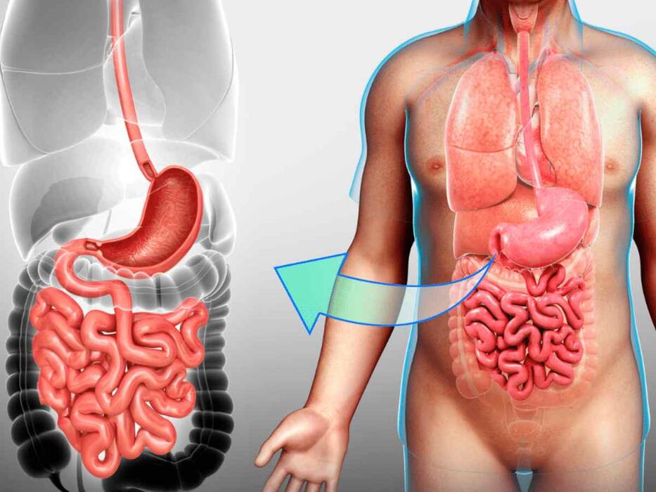 हल्दी और शहद का सेवन करने से दूर होती हैं ये 5 समस्याएं, इस तरह करें सेवन