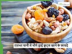 रात को पानी में भिगोकर सुबह खाएं ये 5 ड्राई फ्रूट, बिना प्रोटीन के फौलादी बनेगी बॉडी