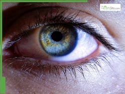 Does Fasting During Navratri Have Any Effect On Eye Health?