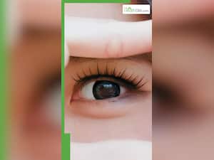 आंखों की रोशनी बढ़ाते हैं ये 7 फूड्स