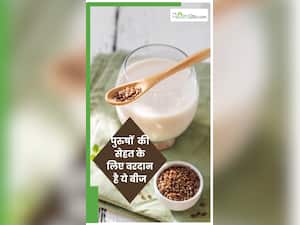 दूध में उबालकर पुरुष प‍िएं इस बीज का पाउडर