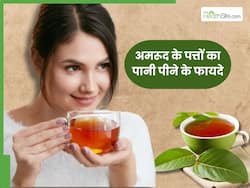 अमरूद के पत्तों का पानी पीने से दूर होती हैं ये 5 बीमारियां, इस तरह करें सेवन