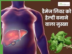 डैमेज हुए लिवर को फिर से हेल्दी बना देंगे तुलसी के पत्ते, जानें ये घरेलू नुस्खे