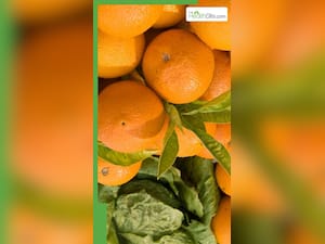संतरे जैसा ये फल करेगा झट से डायबिटीज कंट्रोल