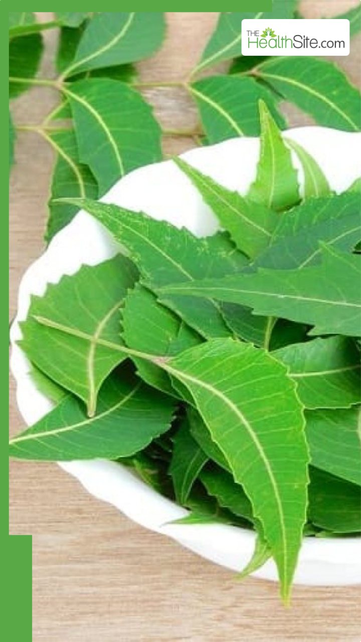 खाली पेट नीम की पत्तियां चबाने के 6 फायदे