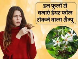 हरसिंगार के फूलों से रूकेगा हेयर फॉल, इस तरह घर पर बनाएं हर्बल हेयर ऑयल और शैम्पू