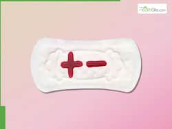 Lighter Periods: Can They Affect Your Chances Of Getting Pregnant?