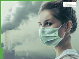 6 Foods You Must Add To Your Daily Diet To Tackle Pollution-Related Health Problems