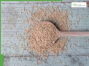 Who Should Not Take Sesame Seeds?