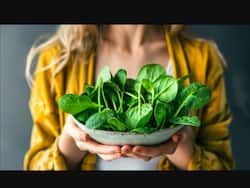 महिलाओं के लिए पालक है नेचुरल टॉनिक, सर्दियों में पालक खाने से मिलेंगे ये 5 फायदे