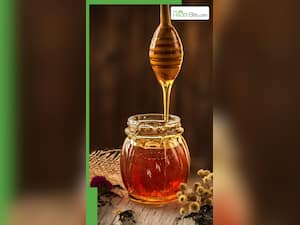 रोजाना हल्दी और शहद का पानी पीने के फायदे