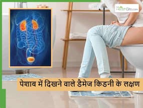 Kidney damage: पेशाब में दिख रहे ये 5 लक्षण बताते हैं किडनी हो चुकी है आपकी खराब Kidney damage: पेशाब में दिख रहे ये 5 लक्षण बताते हैं किडनी हो चुकी है आपकी खराब