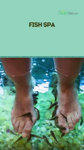 Fish Spa Health Hazards Fish Spa Health Hazards
