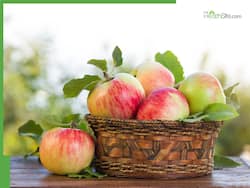 Apples On Empty Stomach: 5 Health Benefits of Eating Red Apples Daily In The Morning