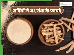 सर्दियों में दवा से कम नहीं है अश्वगंधा, इन 5 बीमारियों की कर देता है छुट्टी
