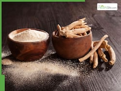 How Is Ashwagandha Becoming A Wellness Essential?