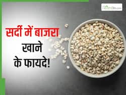 सर्दियों में क्यों खाते हैं बाजरे की रोटी, रोजाना केवल 1 बार बाजरा खाने से मिलेंगे ये 5 लाभ