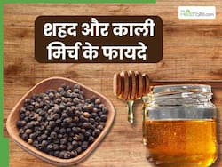 शहद और काली मिर्च खाने से दूर हो सकती हैं ये 5 समस्याएं, जानें सेवन का सही तरीका