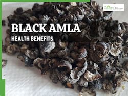 Black Amla On Empty Stomach Health Benefits: 5 Reasons To Eat Indian Gooseberry Daily In The Morning