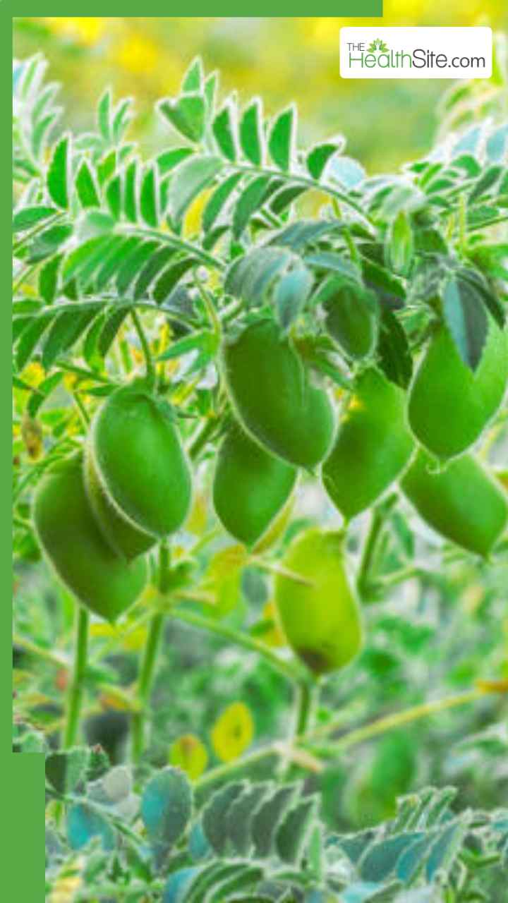सर्दियों में चने का साग खाने के 10 फायदे