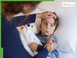 बढ़ रही है ठंड, बच्चे ना पड़ जाएं बीमार,इन 5 हर्ब्स से बढ़ाएं बच्चों की इम्यूनिटी