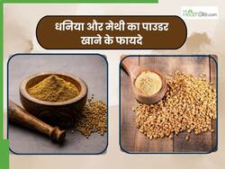 मेथी और धनिया पाउडर का सेवन करने से दूर होती हैं ये 5 बीमारियां, इस तरह करें प्रयोग