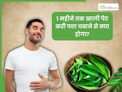 1 महीने तक सुबह खाली पेट करी पत्ता चबाने से शरीर में दिखेंगे ये 5 बदलाव, डायटीशियन से जानें सेवन का सही तरीका