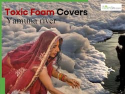 Delhi AQI Today: Yamuna River Is Highly Polluted, Can Cause Severe Skin Damage, High Court Warns Ahead of Chhath Puja