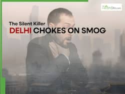 Delhi Pollution Live Updates: Schools Closed As Dense Smog Blankets National Capital, Noida, Ghaziabad; AQI Hits 300 Mark