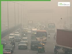 Delhi Chokes On Smog As AQI Hits 975: Top 7 Dangerous Diseases That Air Pollution Can Cause
