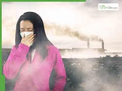 दिल्ली-एनसीआर में प्रदूषण की मार जारी, AQI पहुंचा 400 के पार, गुरुग्राम में कराई गई आर्टिफिशियल बारिश