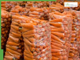 E. Coli Outbreak Linked To Organic Carrots Grips US; One Dead, Several Hospitalised
